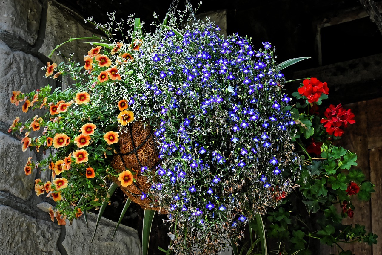 hanging basket