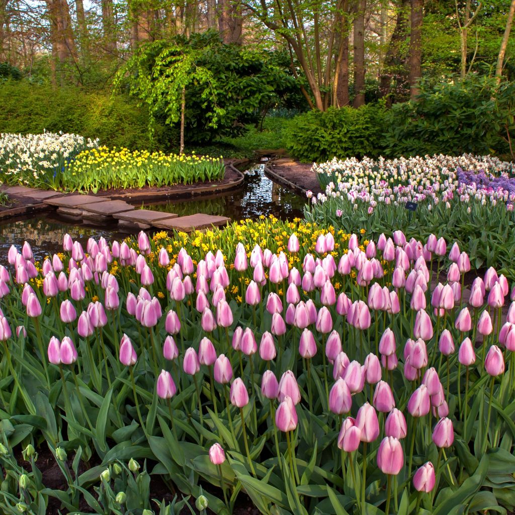 seasonal maintenance