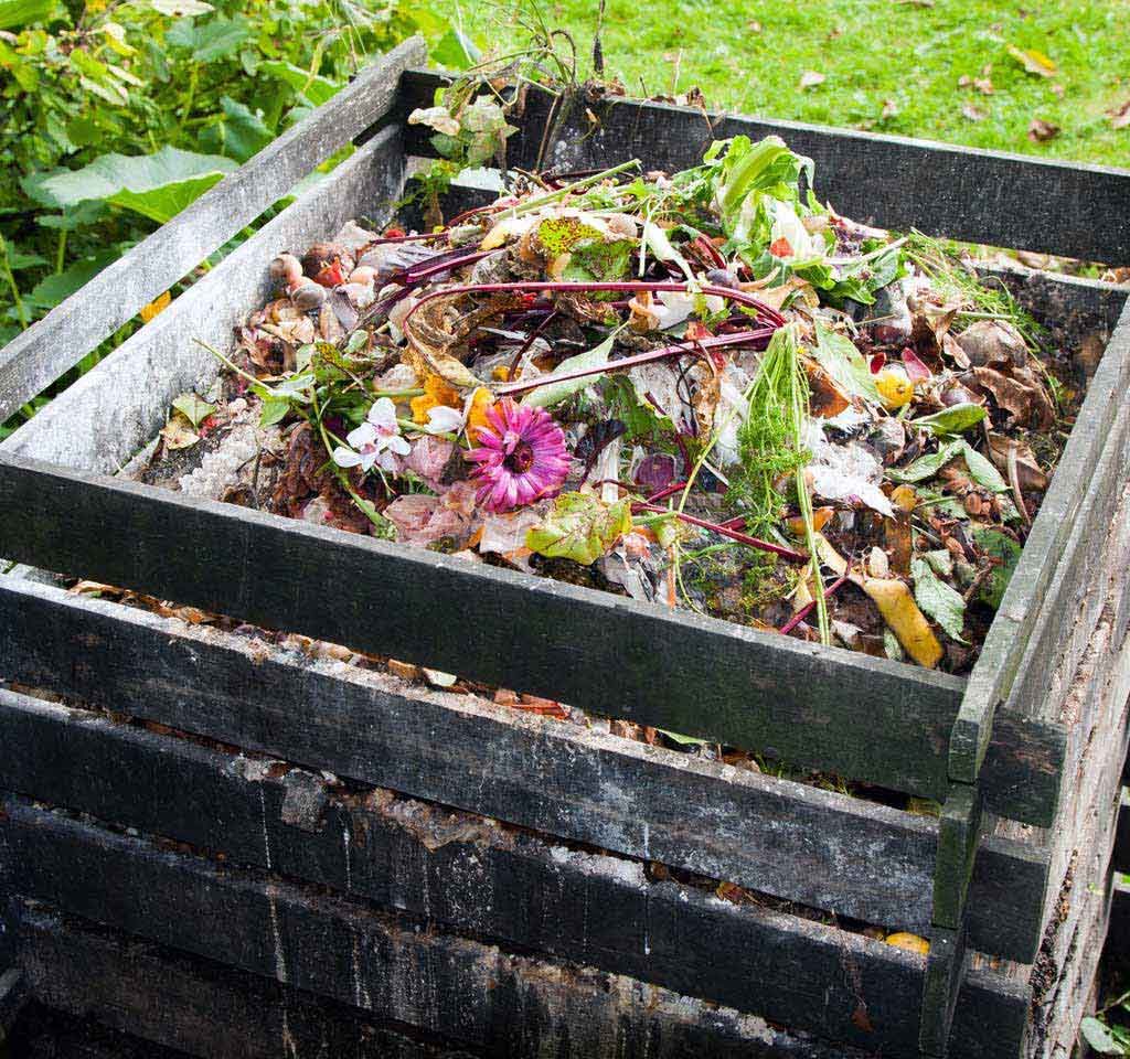 compost heap