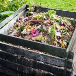compost heap
