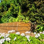 edible garden design