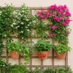vertical planting