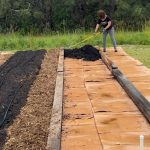 No-Dig Gardening: Let Your Soil Work Its Magic