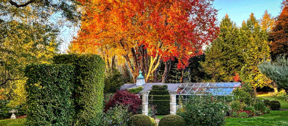 26GARDEN-FALL-superJumbo