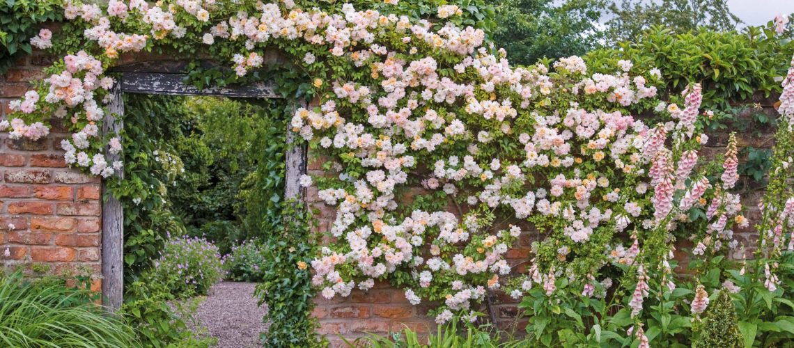 7c9sfSF3TmDw9z7yYoicMa