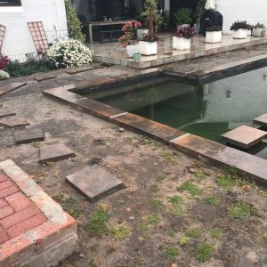 Garden revamp constantia before2