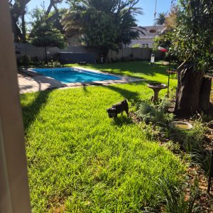 b2f673c6-2b05-467e-8775-98ad2ca2fa5a