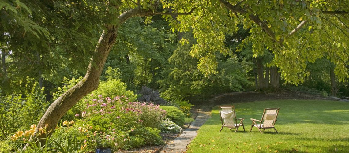 Two chairs under a tree in garden