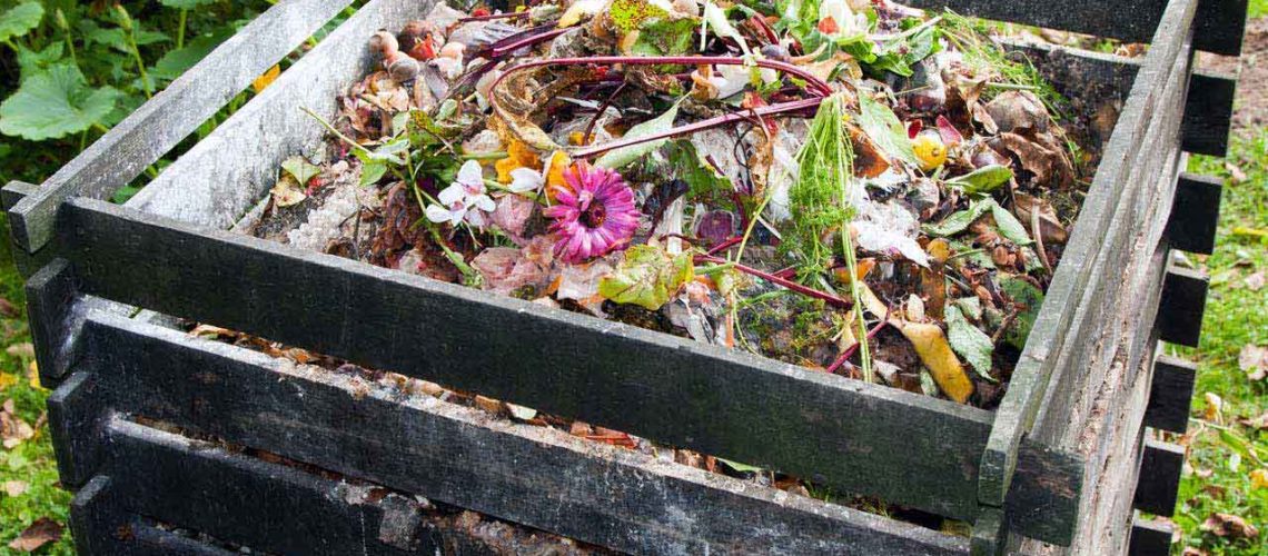compost heap