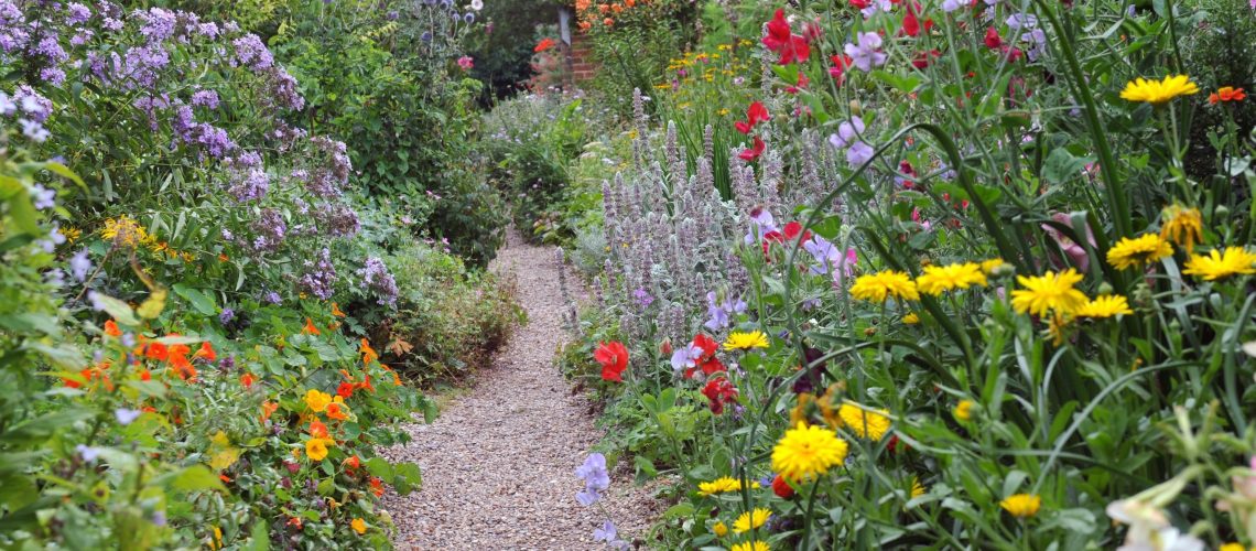 full-sun-perennials-1548374095
