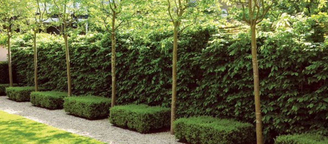 garden-design_7781