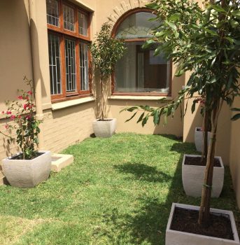 Village Gardens | Landscaping Cape Town | garden after 3