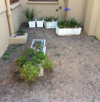 gardenbefore3 villagegardens