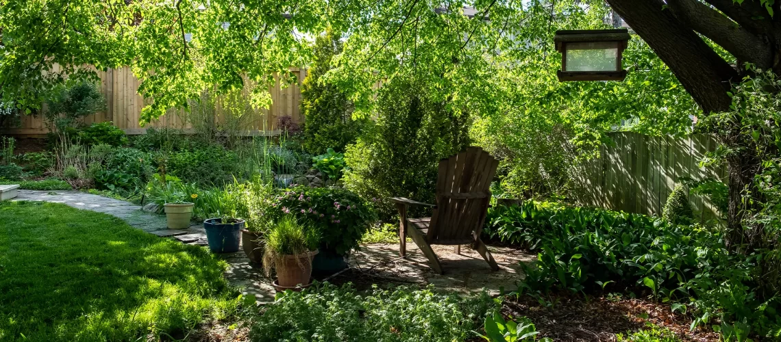 how-to-grow-a-bird-friendly-garden