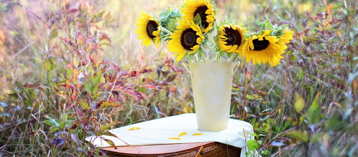 sun flowers for display in vase